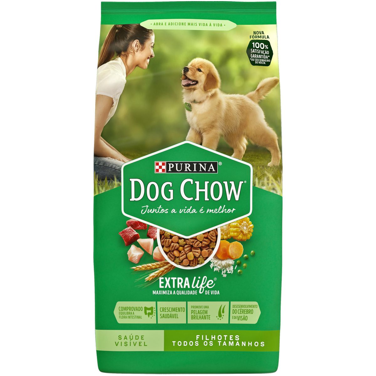 Ração para Cachorro Filhote Purina Dog Chow Carne e Vegetais 1Kg