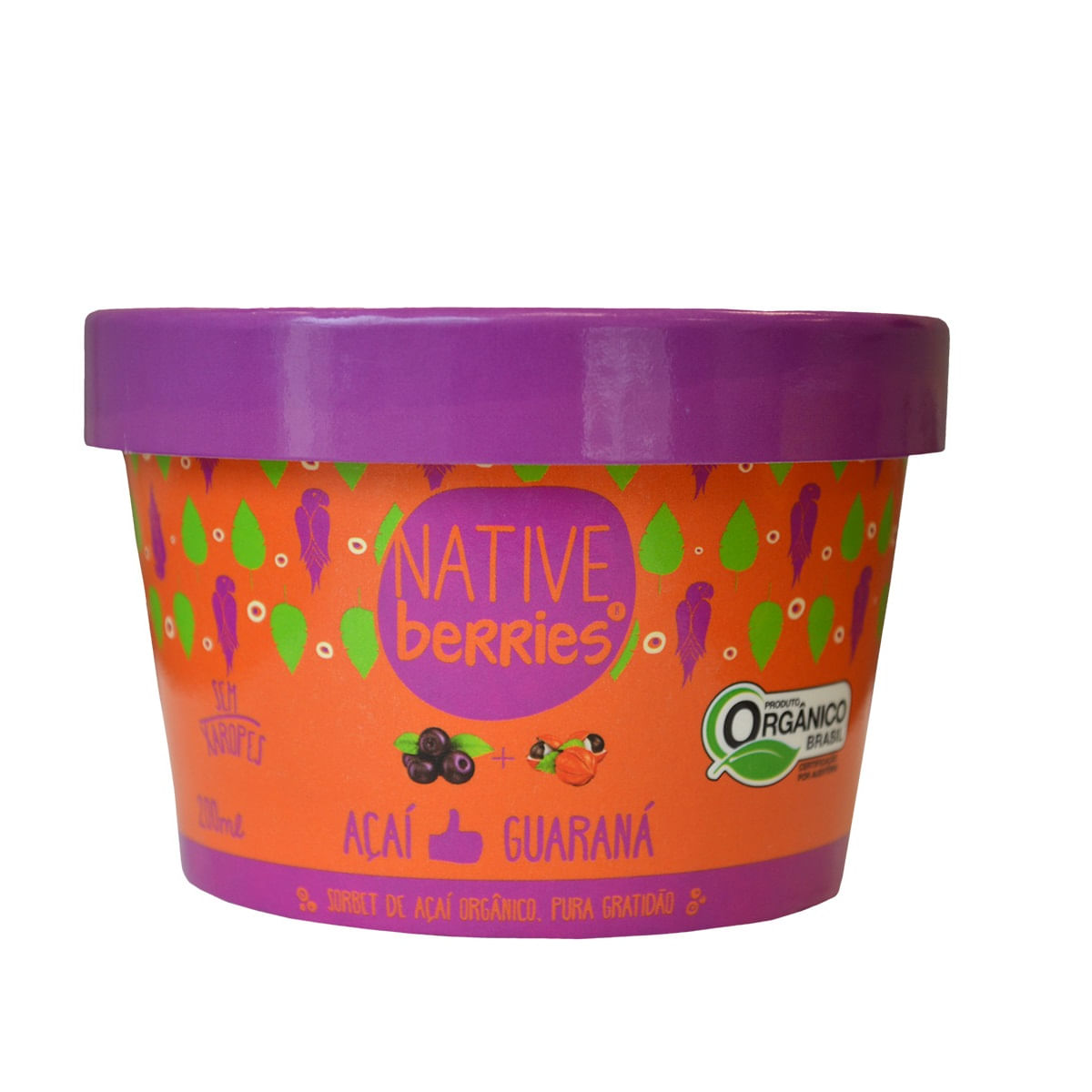 Sorbet de Açaí com Guaraná Native Berries Orgânico 200ml