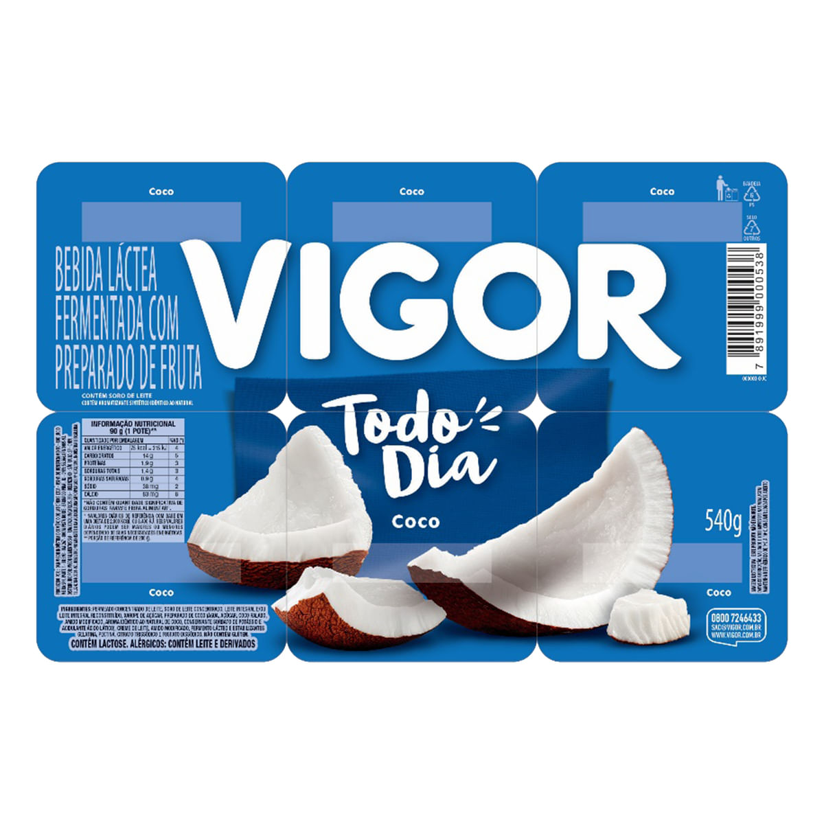 Bebida Láctea Fermentada Coco Vigor Todo Dia 540g 6 Unidades