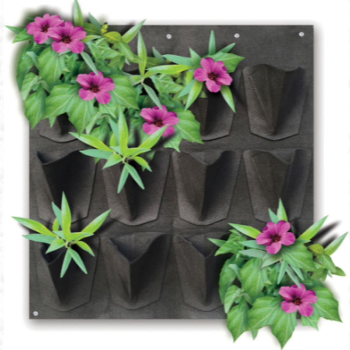 Painel Jardim Vertical Plante e Cuide com 12 Nichos