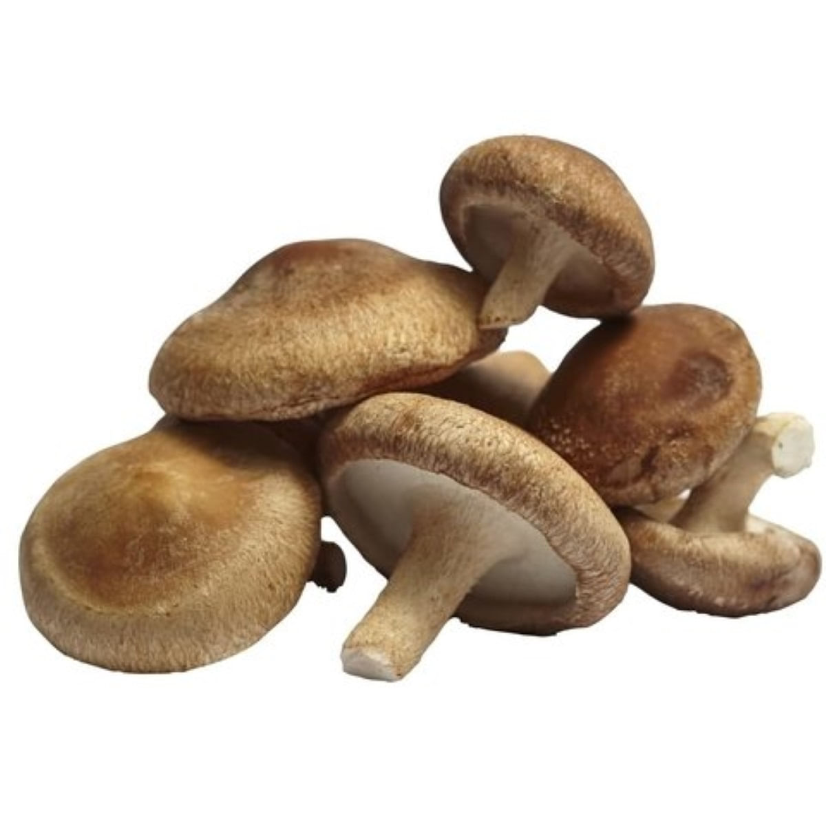 Cogumelo Fungi Grill Carrefour 400 g