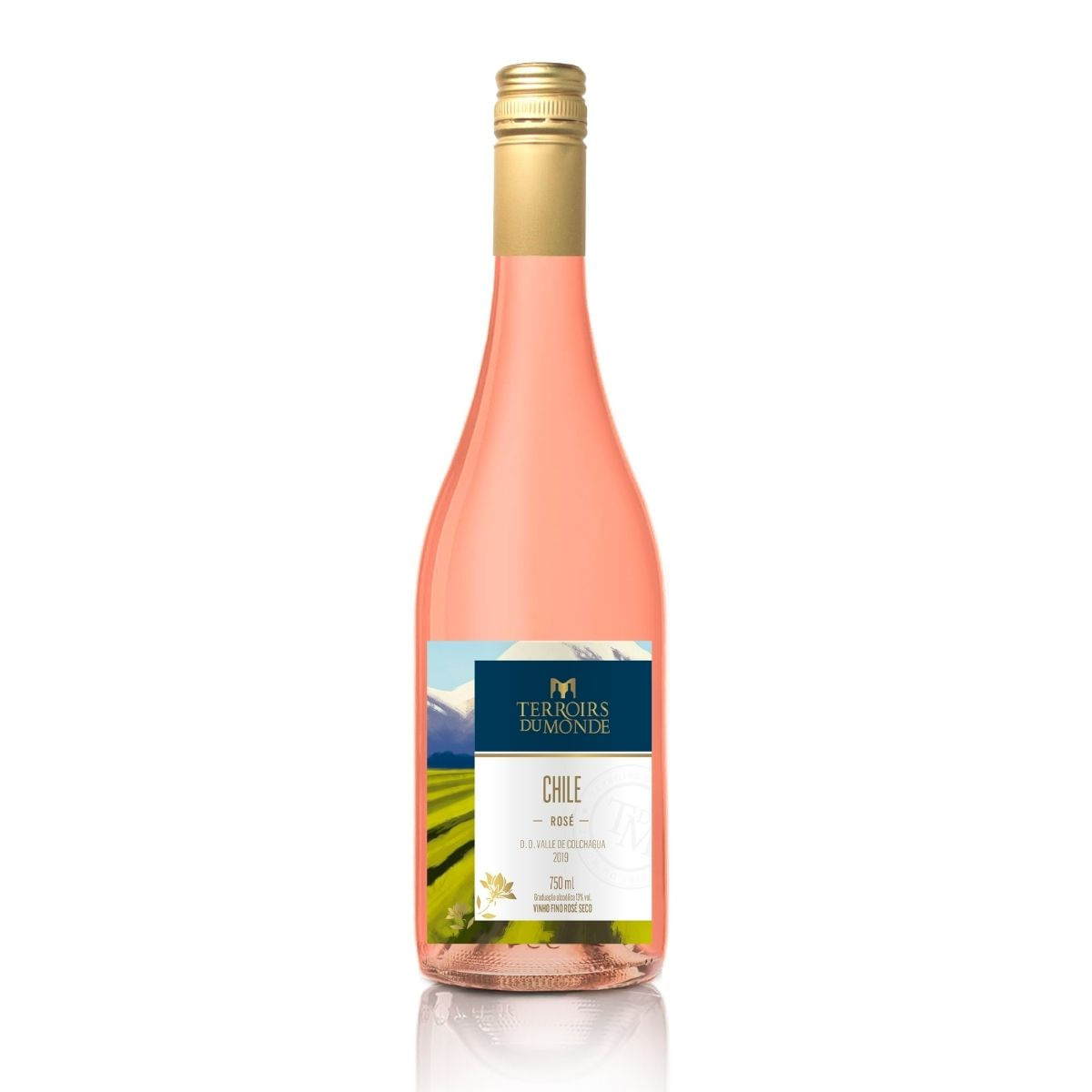 Vinho Chileno Rosé Seco Terroirs Du Monde 750 ml