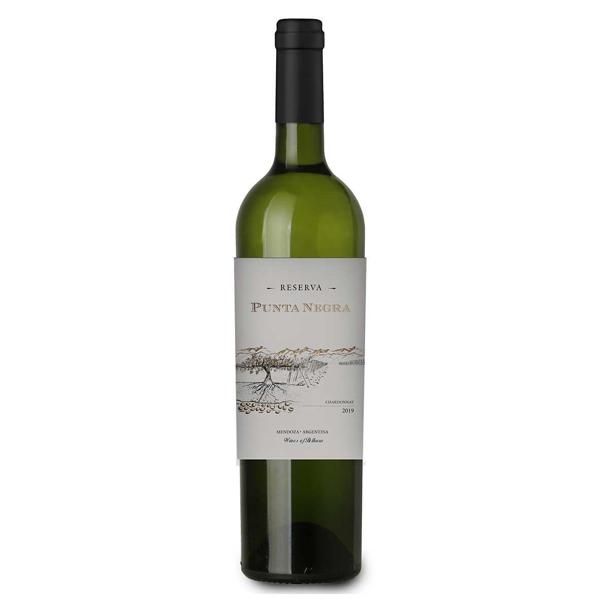 Vinho Branco Argentino Punta Negra Reserva Chardonnay 750 ml