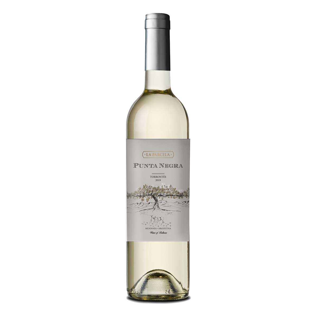 Vinho Branco Argentino Punta Negra La Parcela Torrontes 750 ml