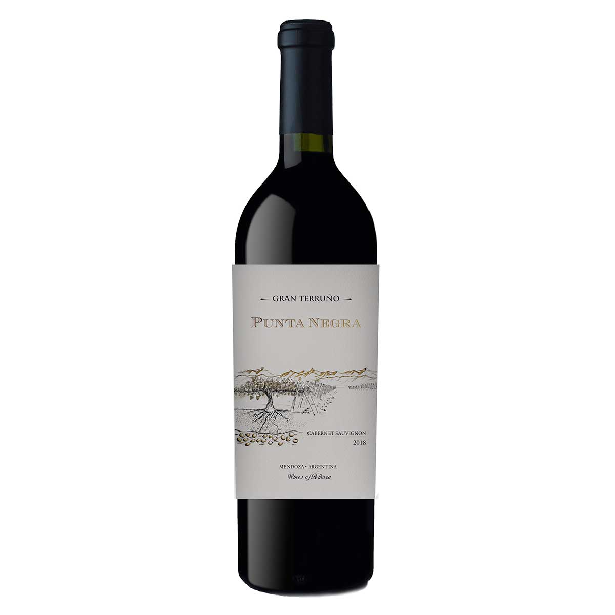 Vinho Tinto Argentino Punta Negra Gran Terruño Corte 750 ml