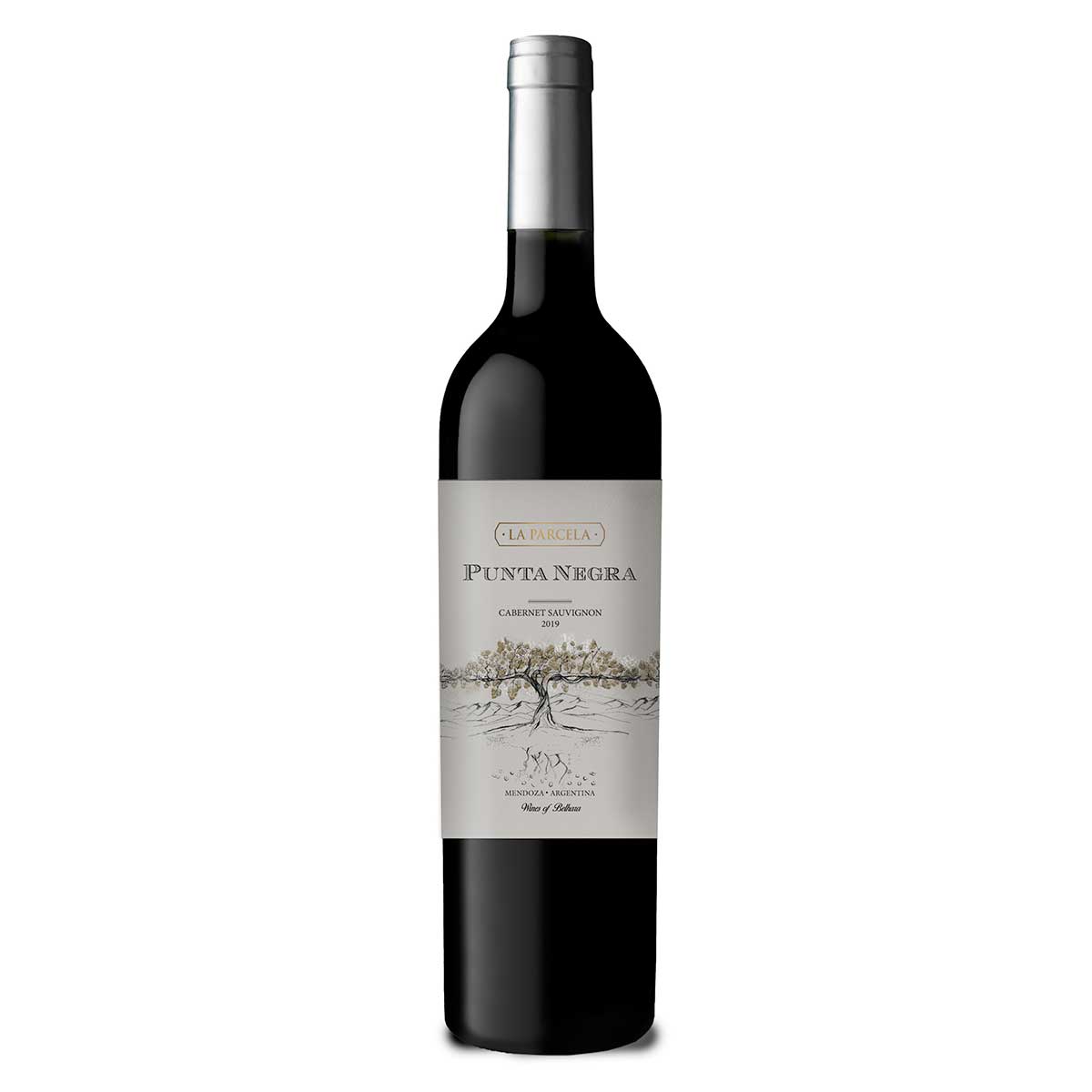 Vinho Tinto Argentino Punta Negra La Parcela Cabernet Sauvingon 750 ml