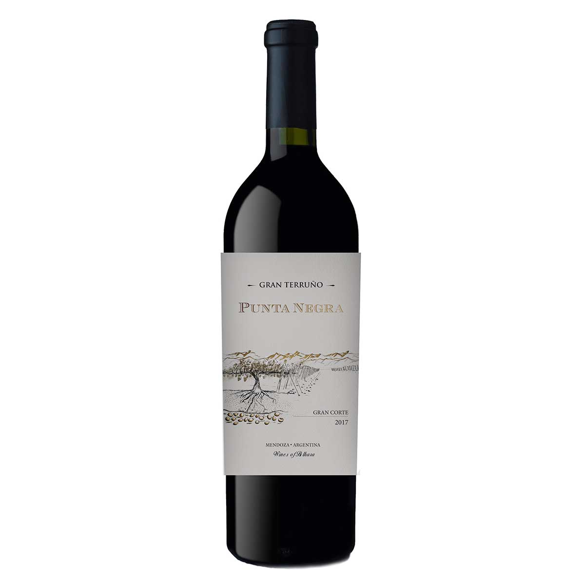 Vinho Tinto Argentino Punta Negra Gran Terruño Cabernet Sauvignon 750 ml