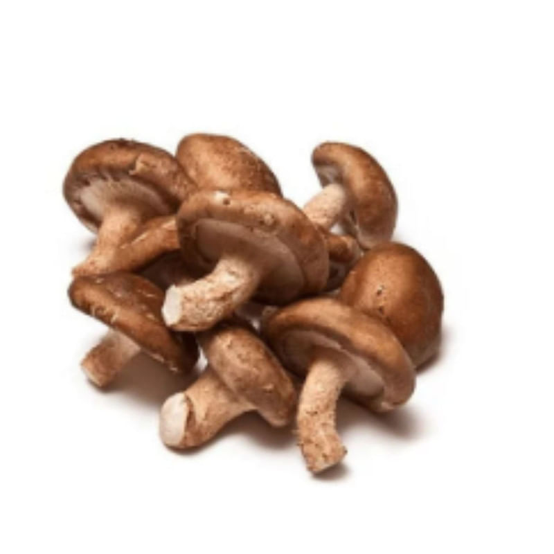 Cogumelo Shitake Hydrosalads 200g