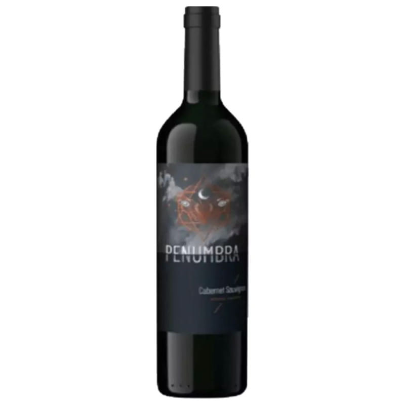 Vinho Tinto Argentino Penumbra Cabernet Sauvignon Garrafa 750ml