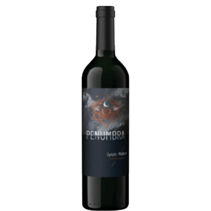 Vinho Tinto Syrah e Malbec Penumbra 750ml