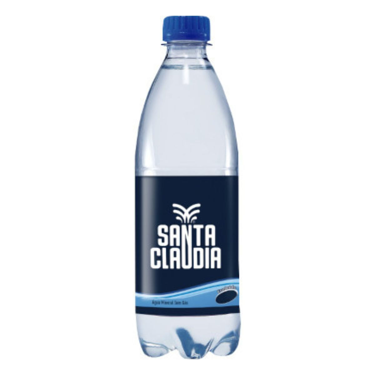 Água Mineral sem Gás Santa Claúdia 350 ml