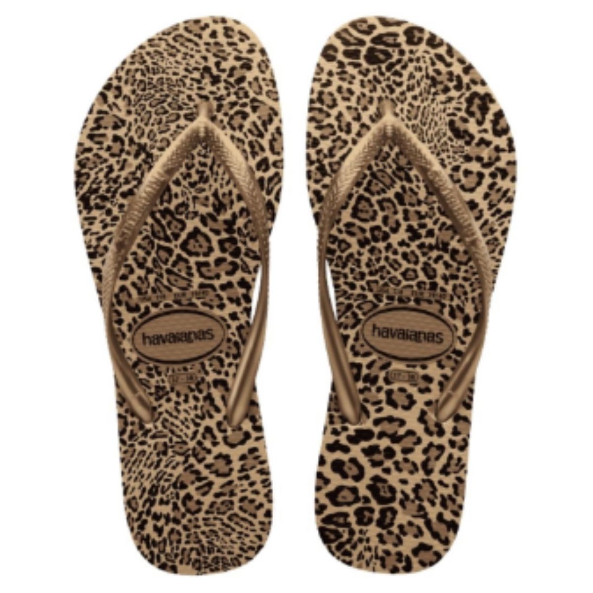 Chinelo Feminino Slim Animais  35 36 Havaianas Dourado