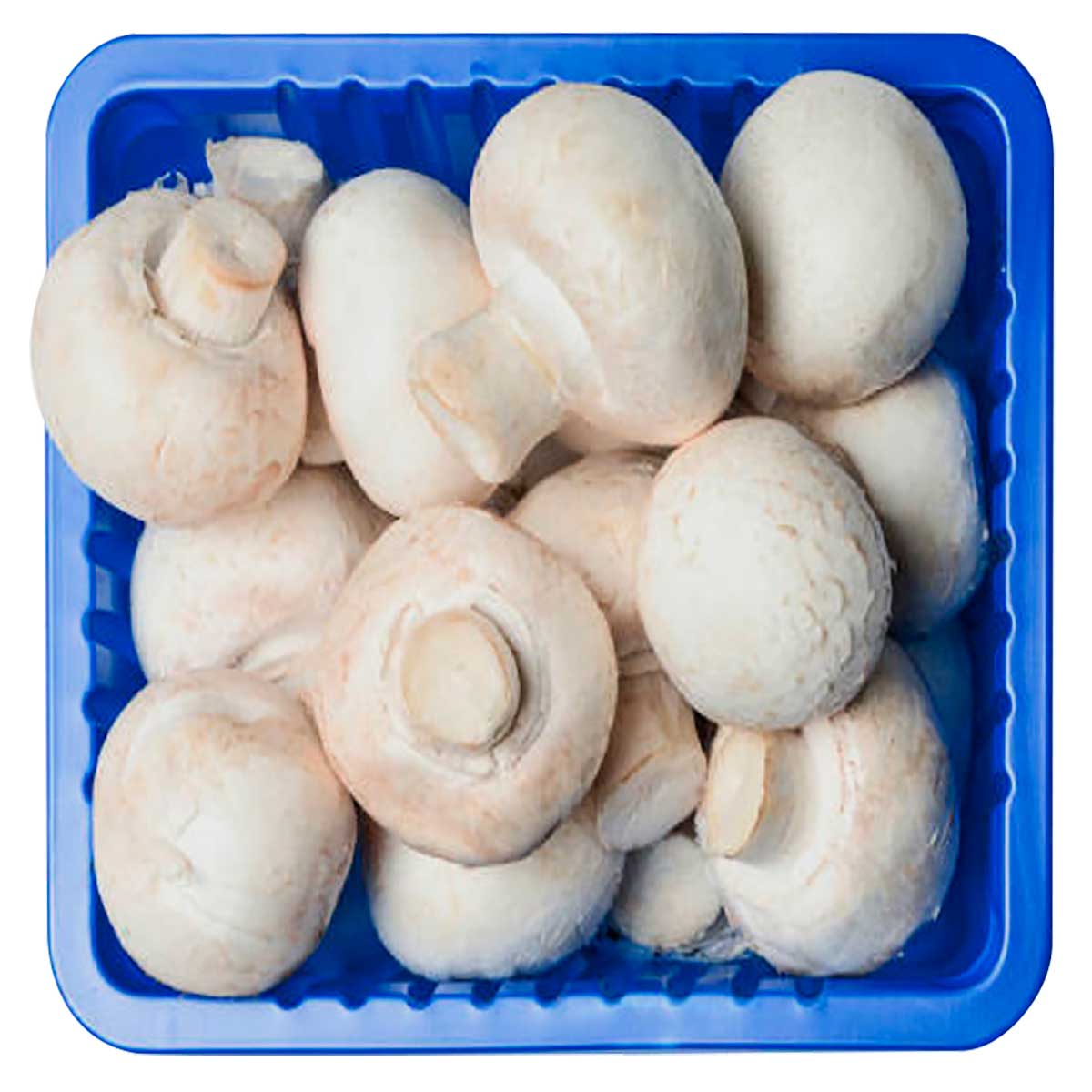 Cogumelo Champignon Yamashita 200g