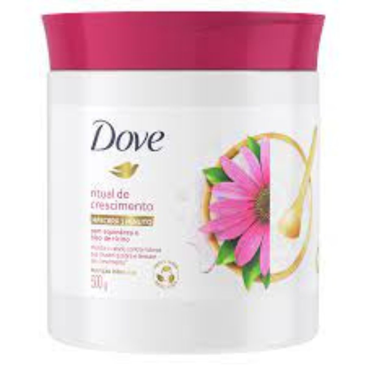 Creme Tratamento Dove Equinacea Óleo Ricino 500 g