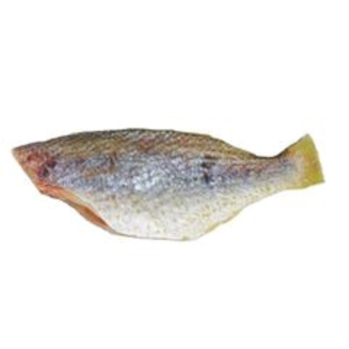 Castanha Inteira Eviscerada Congelada Pescados da Cruz 1 kg