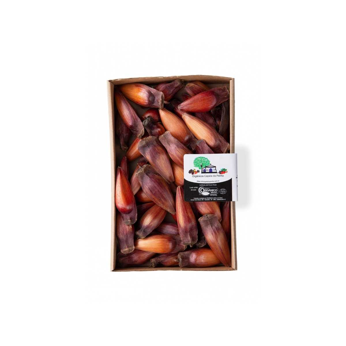 Pinhão Orgânico Capela 400 g