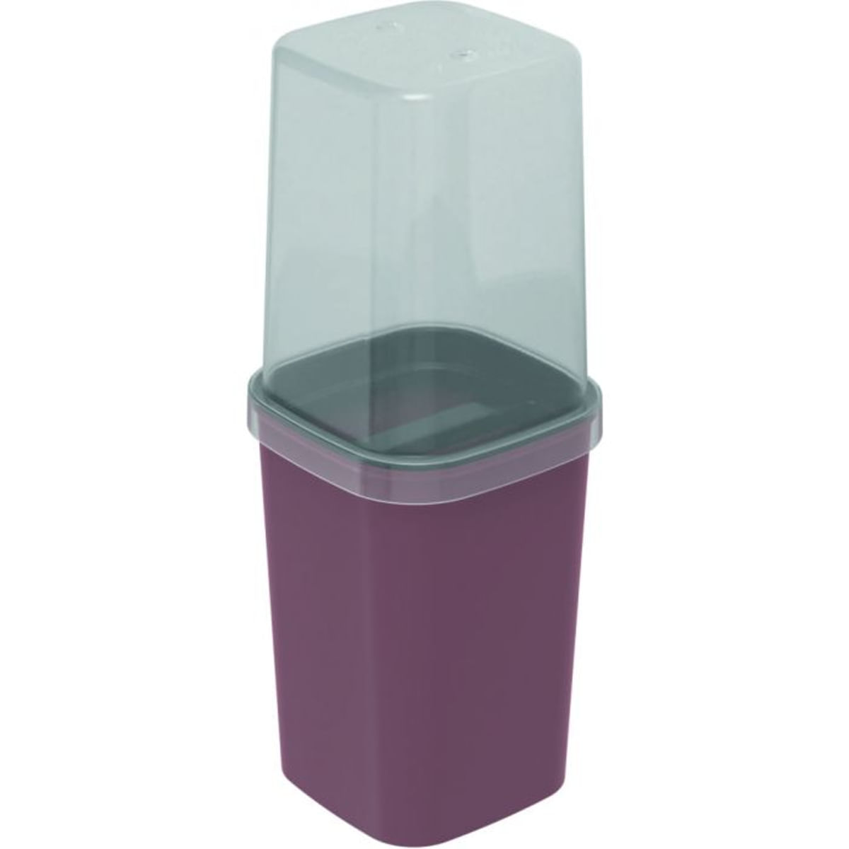 Porta Escova de Dente e Creme Dental Plasutil Classic Cassis Roxo Fosco