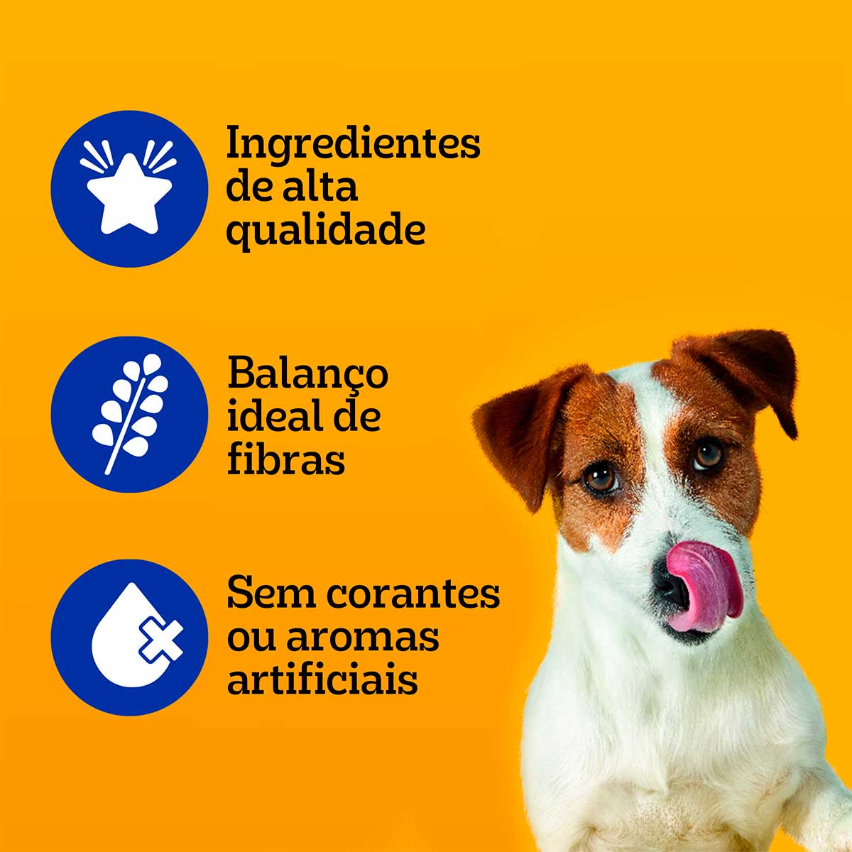 Ração Úmida Pedigree Sachê Carne ao Molho para Cães Adultos de Raças Pequenas 100 g