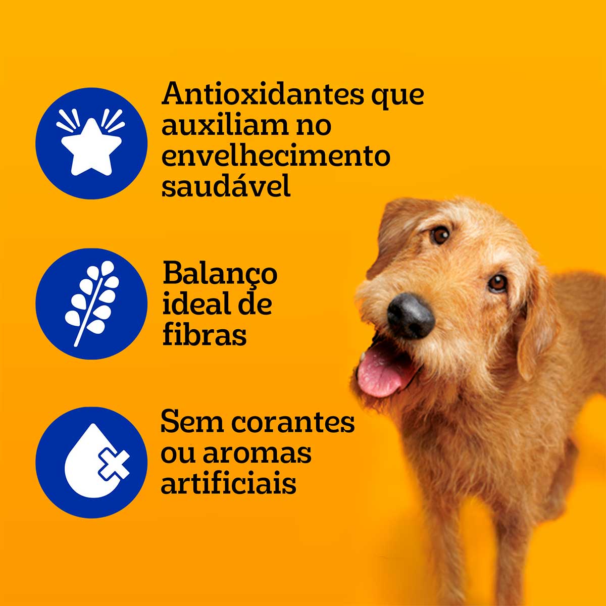 Ração Úmida Pedigree Sachê Carne ao Molho para Cães Adultos Sênior 7+ Anos 100 g