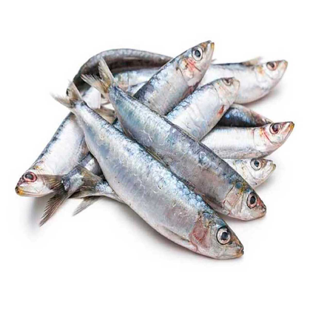 Sardinha Inteira Tratada Congelada Iranduba 500 g