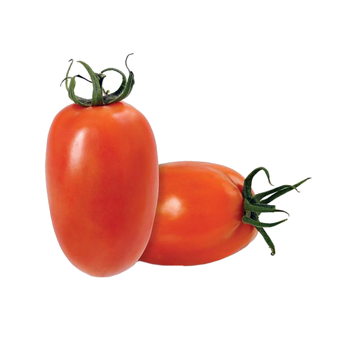 Tomate Italiano Carrefour 1Kg